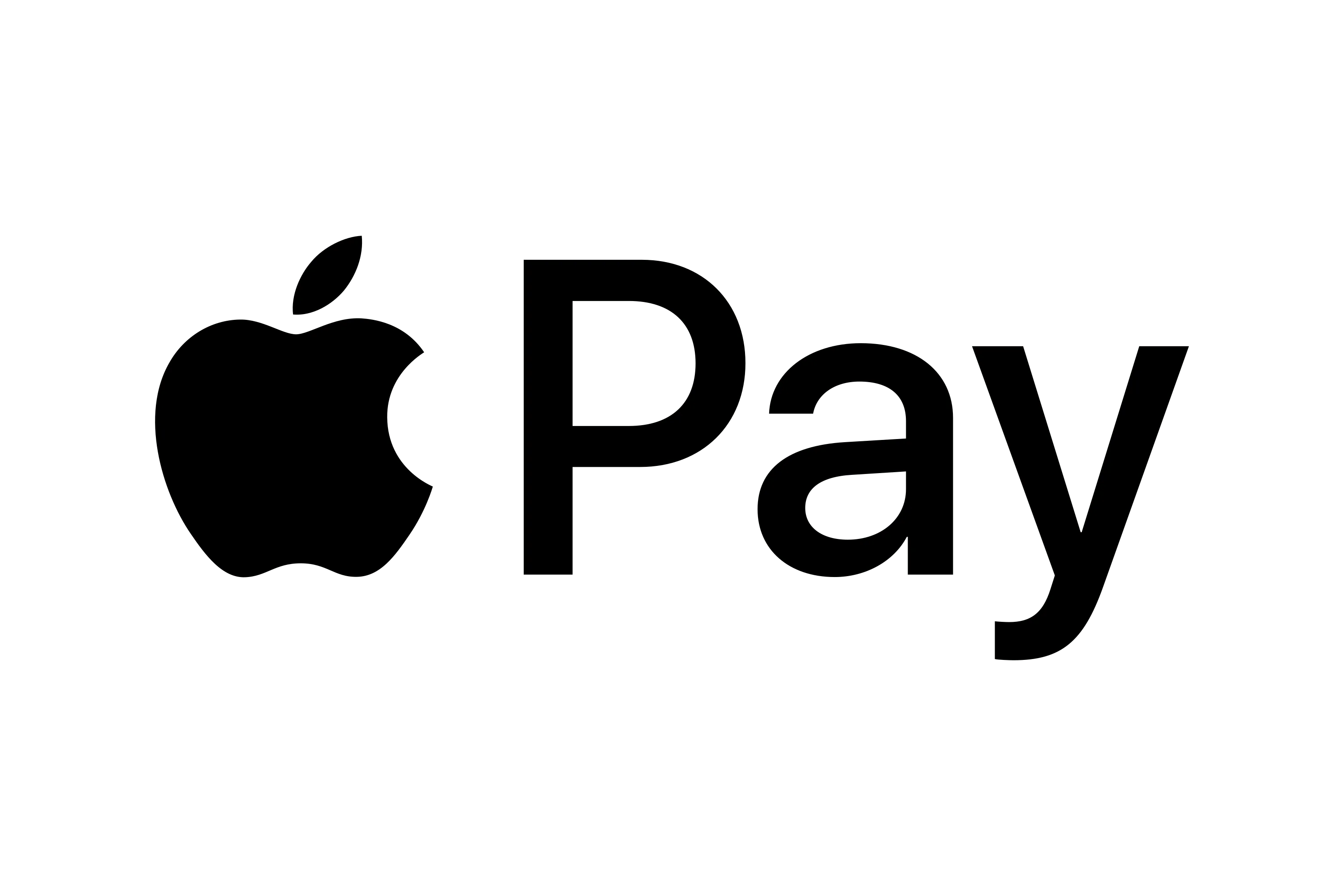 Apple Pay payment method logo